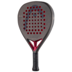 Head Coello Motion 2026 - Image 2